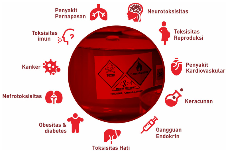 Efek Samping Dari Penggunaan Suplemen Kesehatan yang Perlu Diketahui