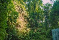 Perbedaan Antara Vitamin Alami Dan Sintetis Yang Penting